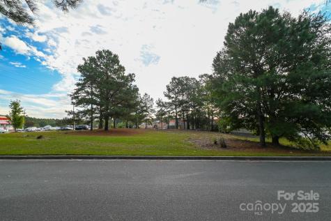 203 N Van Lingle Mungo Boulevard Pageland SC 29728