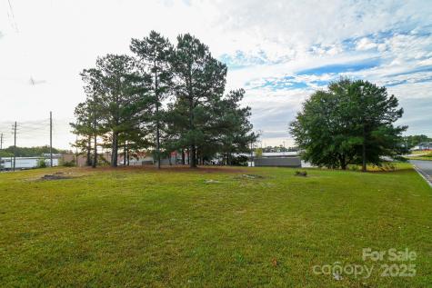 203 N Van Lingle Mungo Boulevard Pageland SC 29728