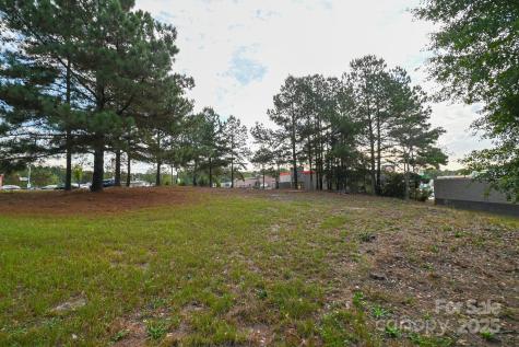 203 N Van Lingle Mungo Boulevard Pageland SC 29728