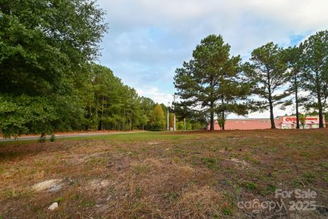 203 N Van Lingle Mungo Boulevard Pageland SC 29728