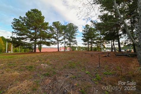 203 N Van Lingle Mungo Boulevard Pageland SC 29728