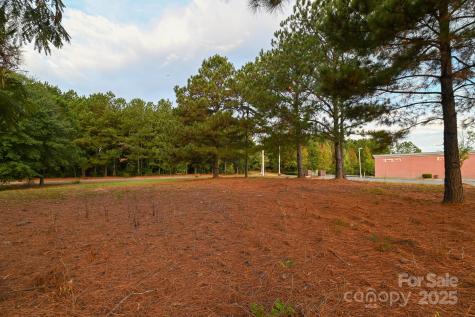 203 N Van Lingle Mungo Boulevard Pageland SC 29728