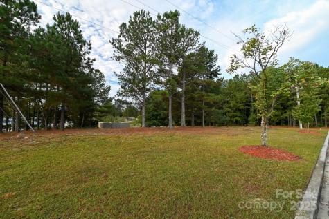 203 N Van Lingle Mungo Boulevard Pageland SC 29728