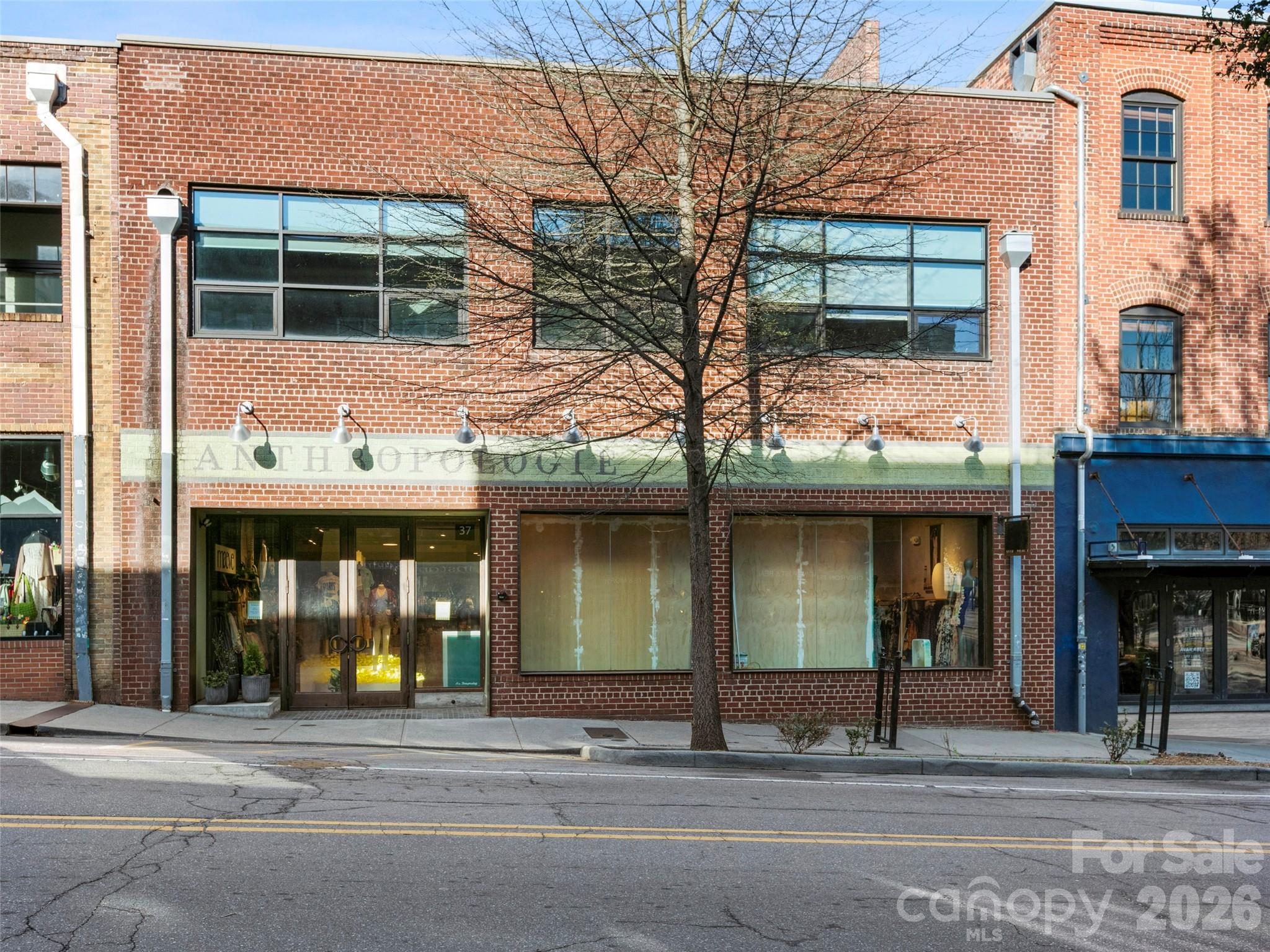19 Rankin Avenue Asheville NC 28801