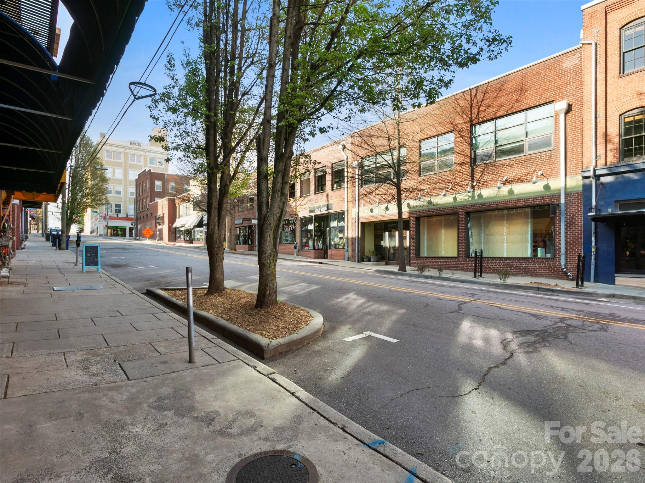 19 Rankin Avenue Asheville NC 28801