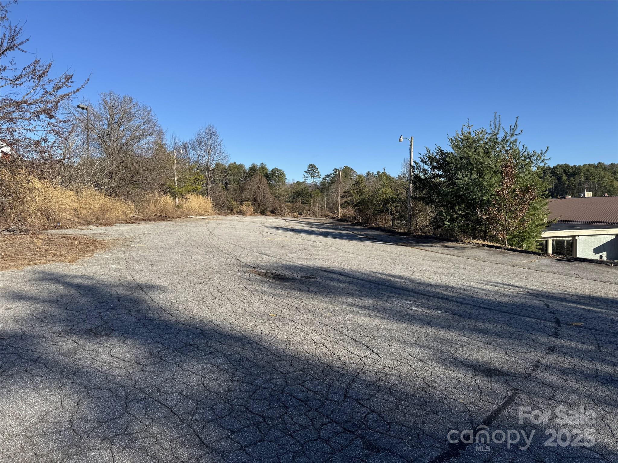 299 & 339 J F Robinson Lane Mars Hill NC 28754