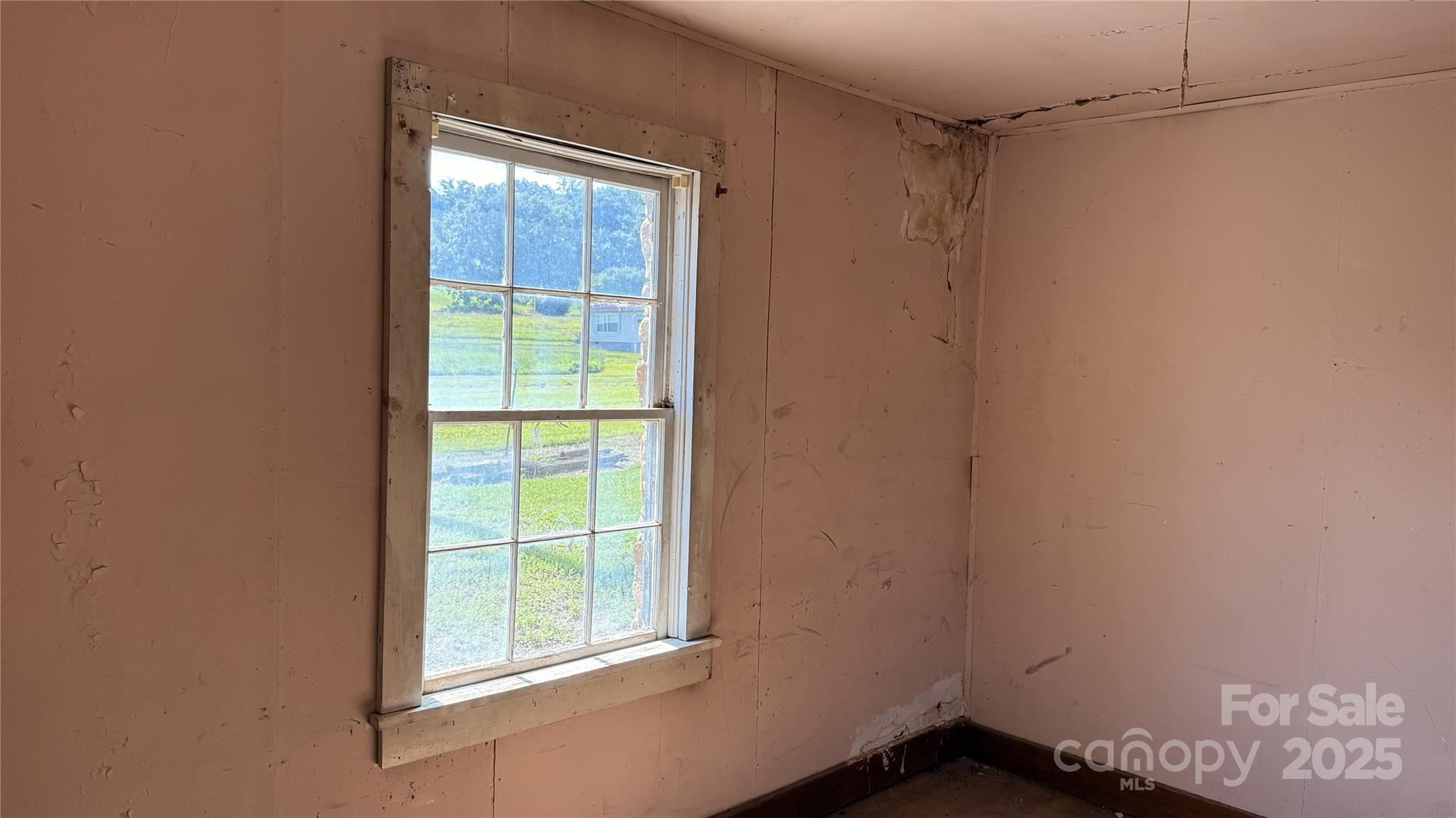 41 Upper Shut In Road Hot Springs NC 27843