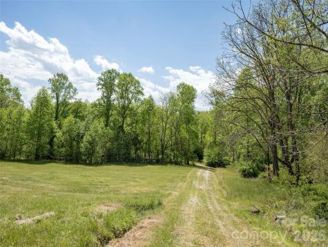 154 High Pasture Trail Mills River NC 28759