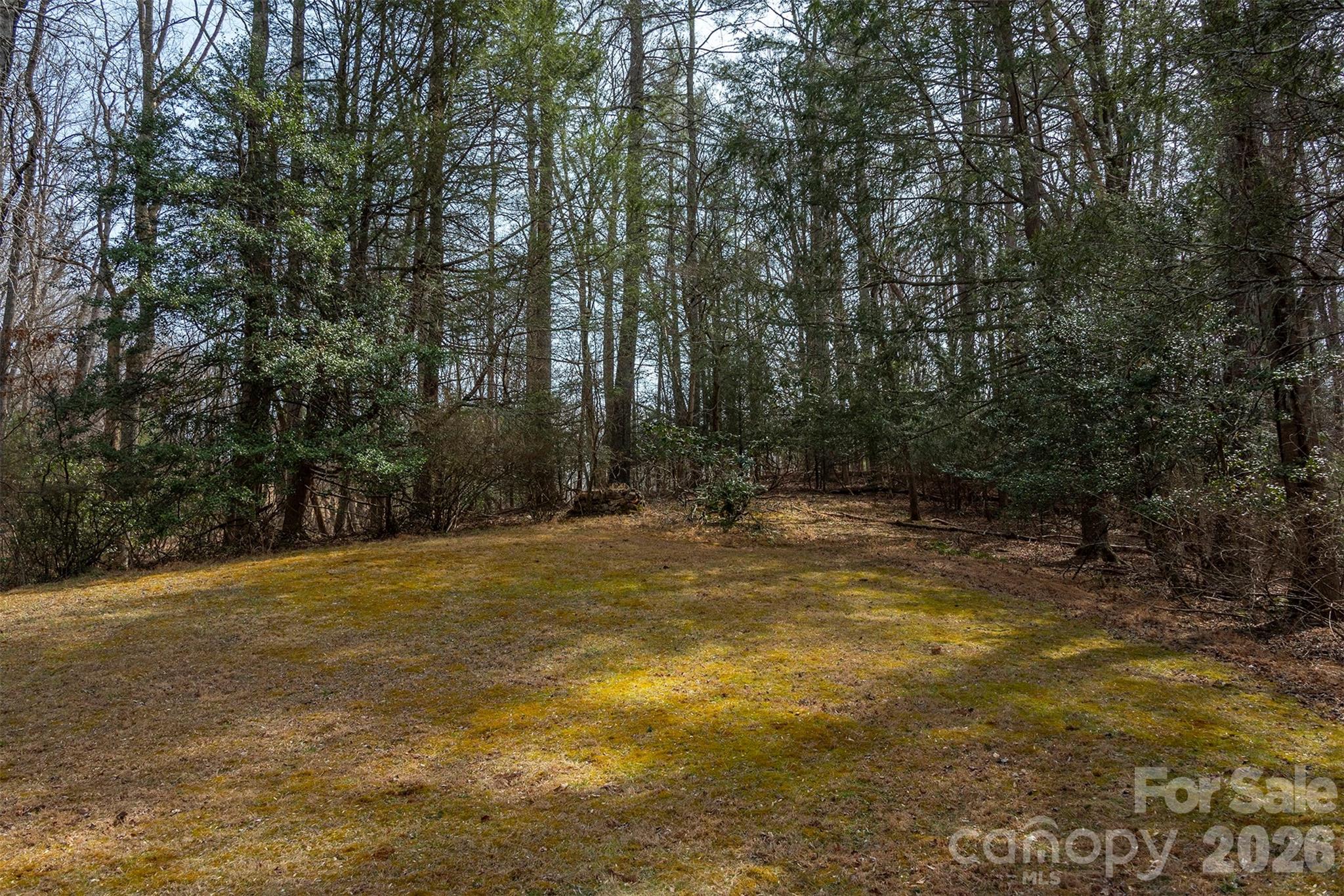 1720 Brevard Road Arden NC 28704