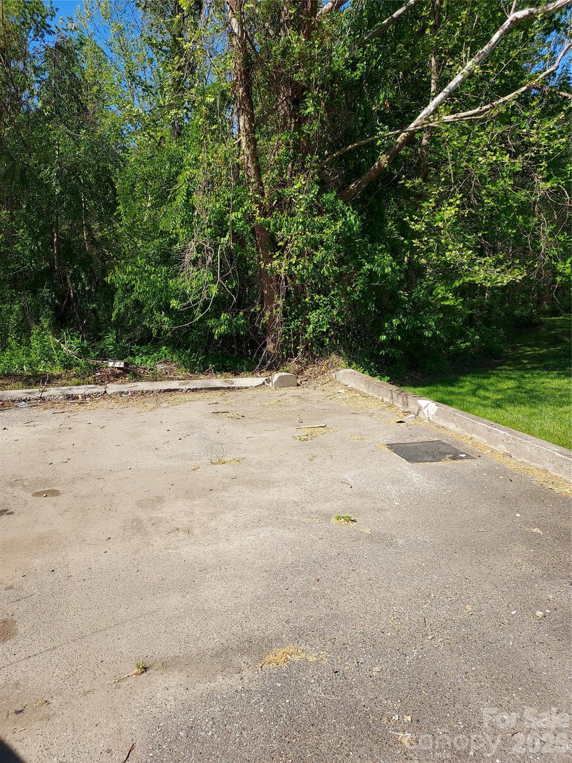 0 Catawba River Road Old Fort NC 28762