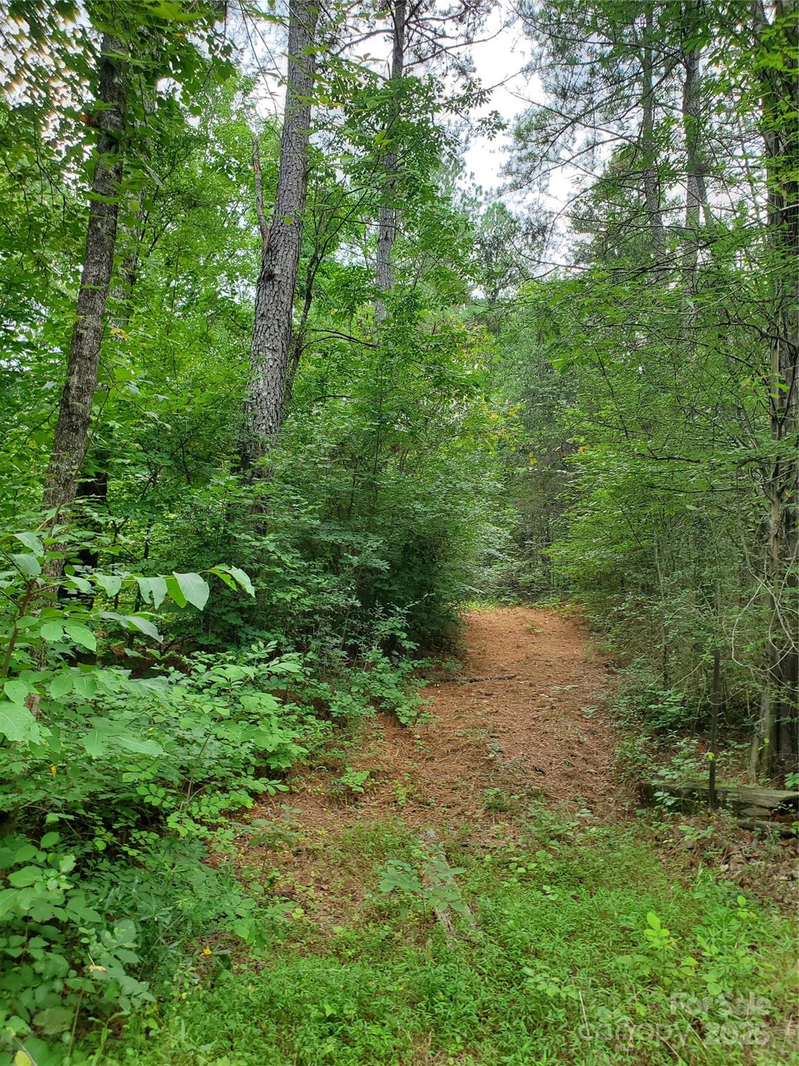 601,610,611 Basinger Lane Kannapolis NC 28083
