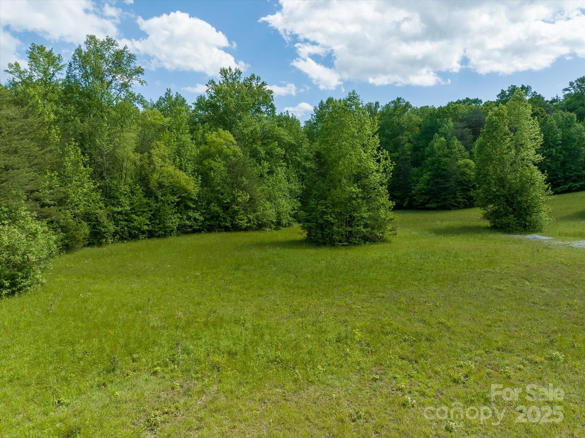 899 W Mills Street Columbus NC 28722