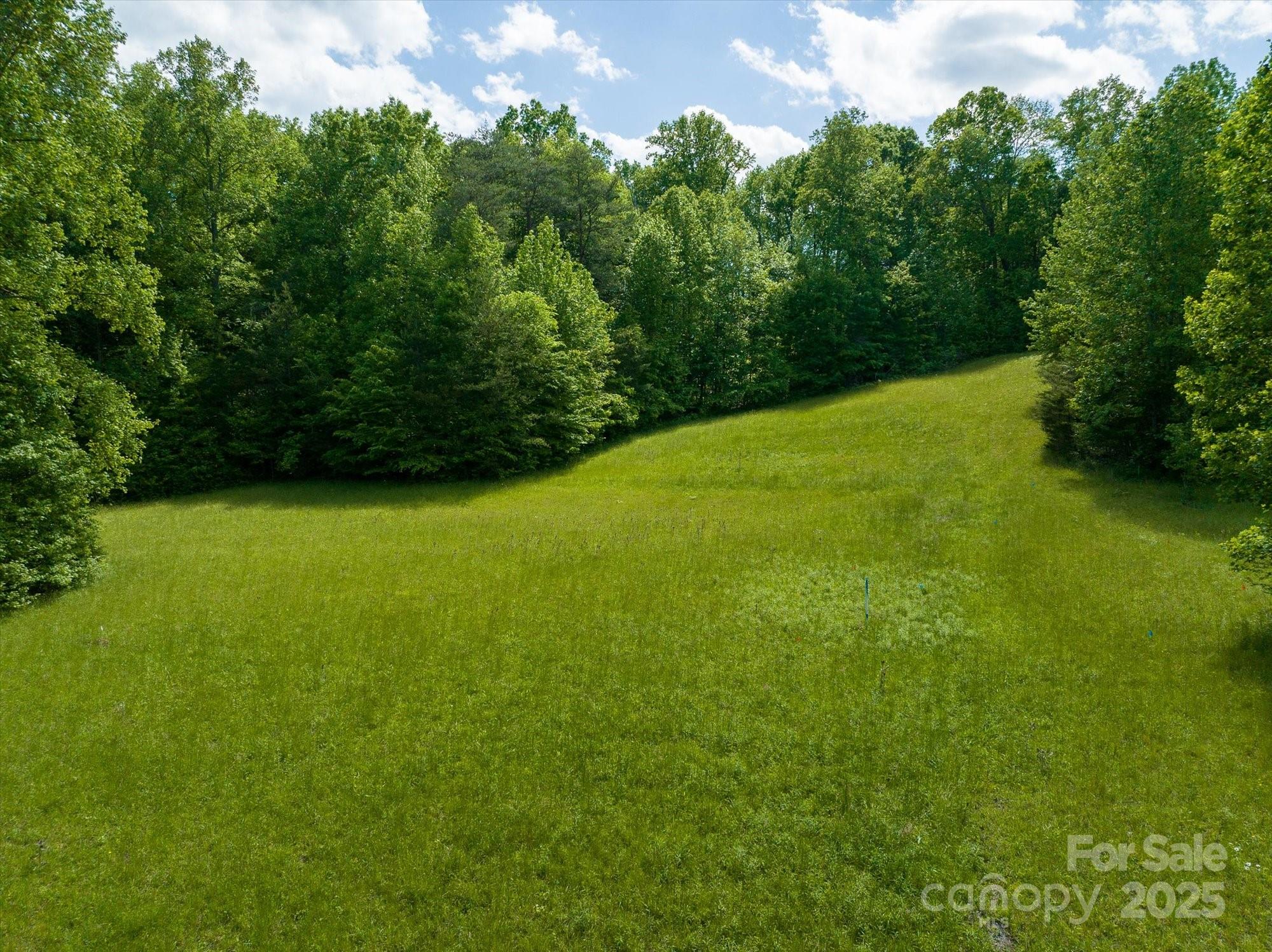 899 W Mills Street Columbus NC 28722