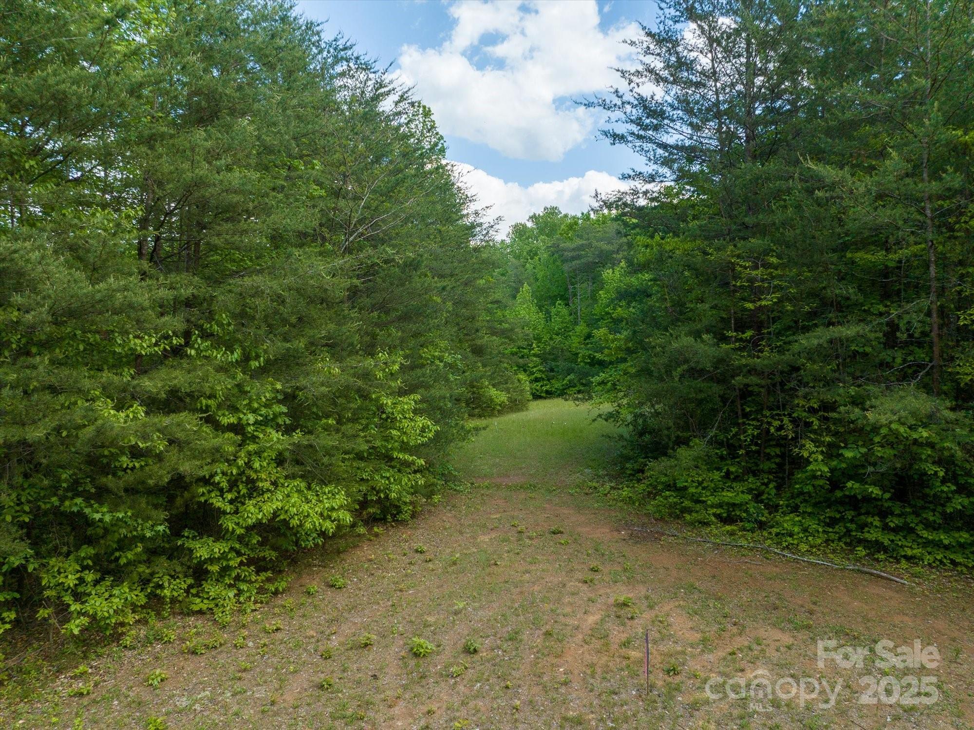 899 W Mills Street Columbus NC 28722