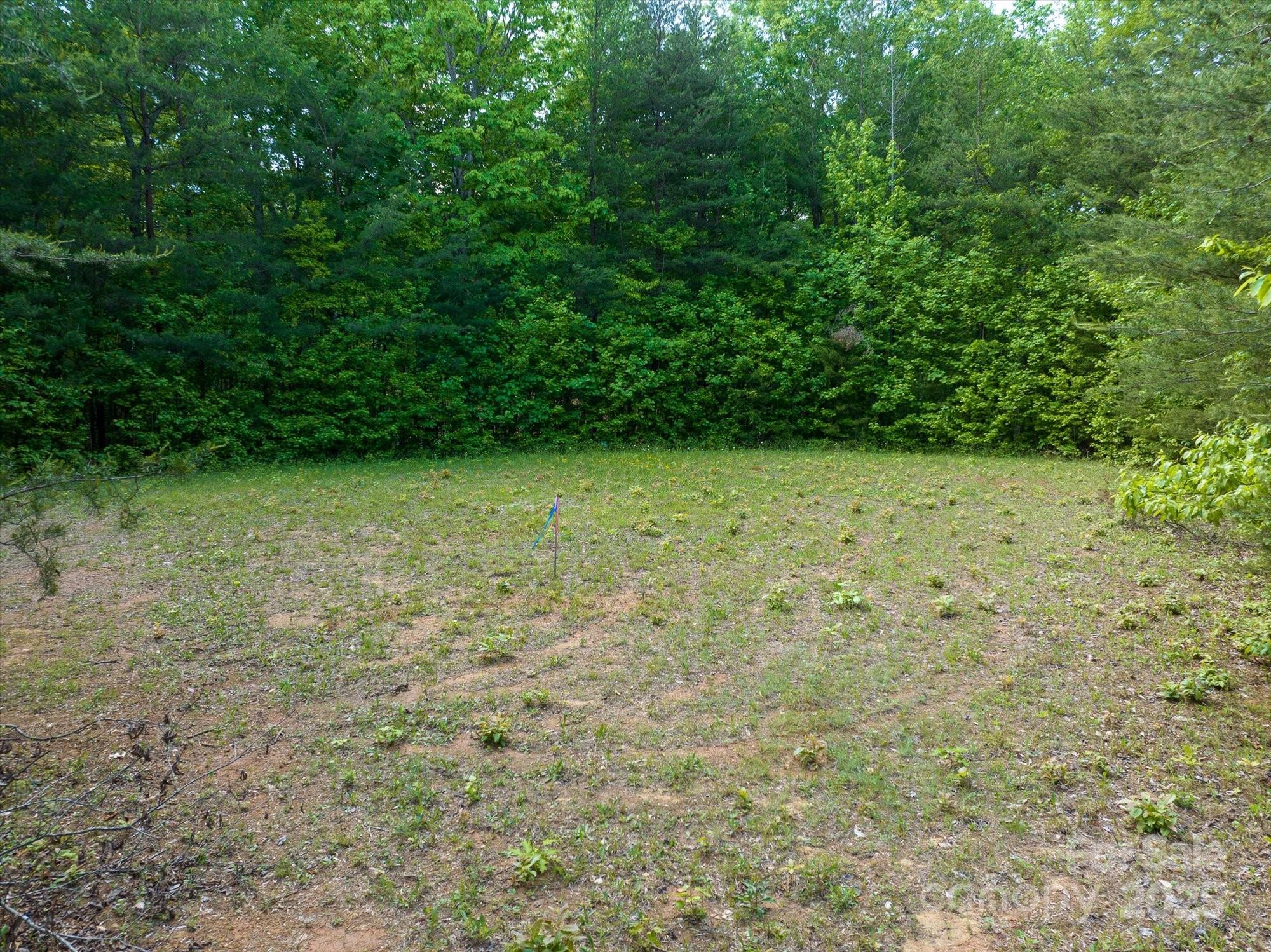 899 W Mills Street Columbus NC 28722