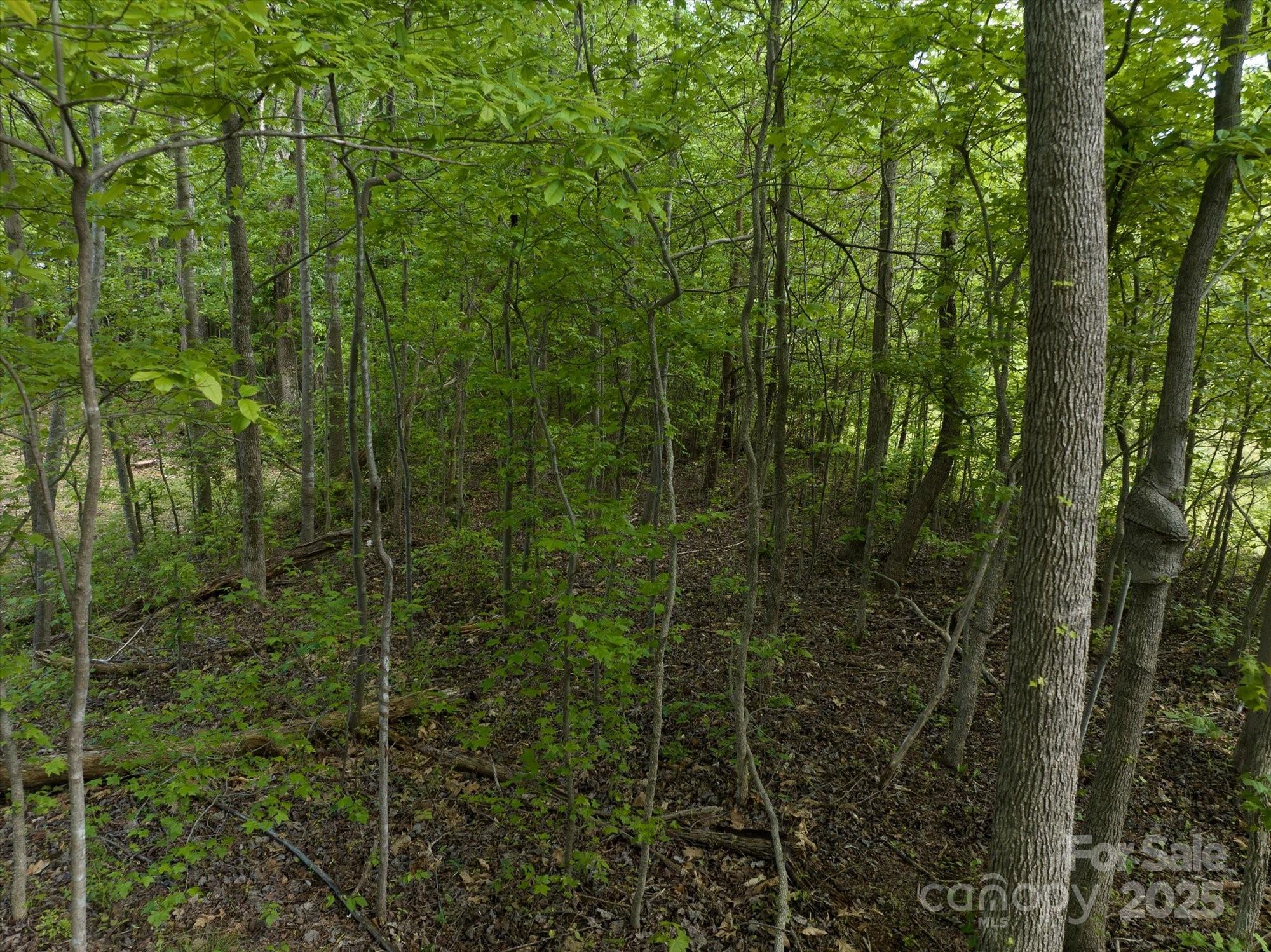 899 W Mills Street Columbus NC 28722