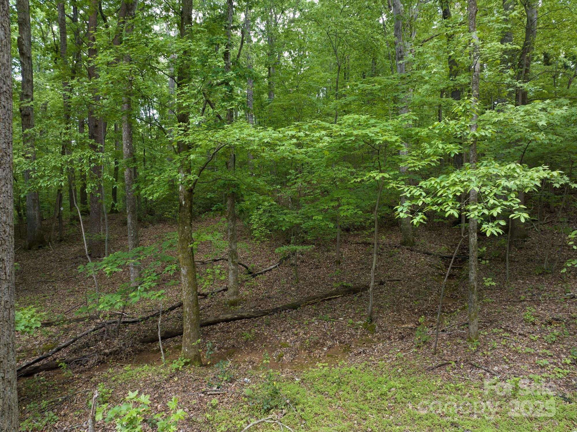 899 W Mills Street Columbus NC 28722