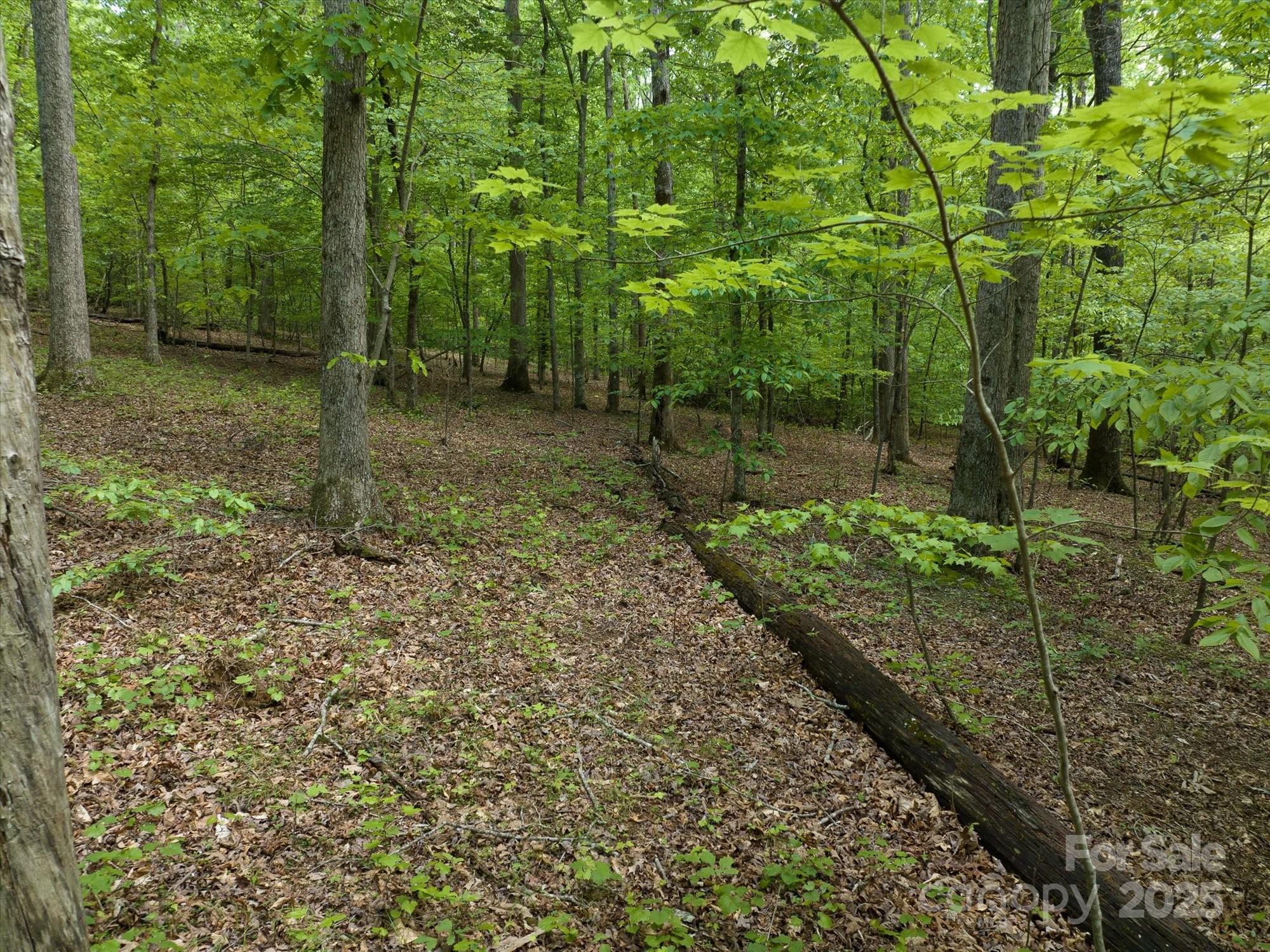 899 W Mills Street Columbus NC 28722