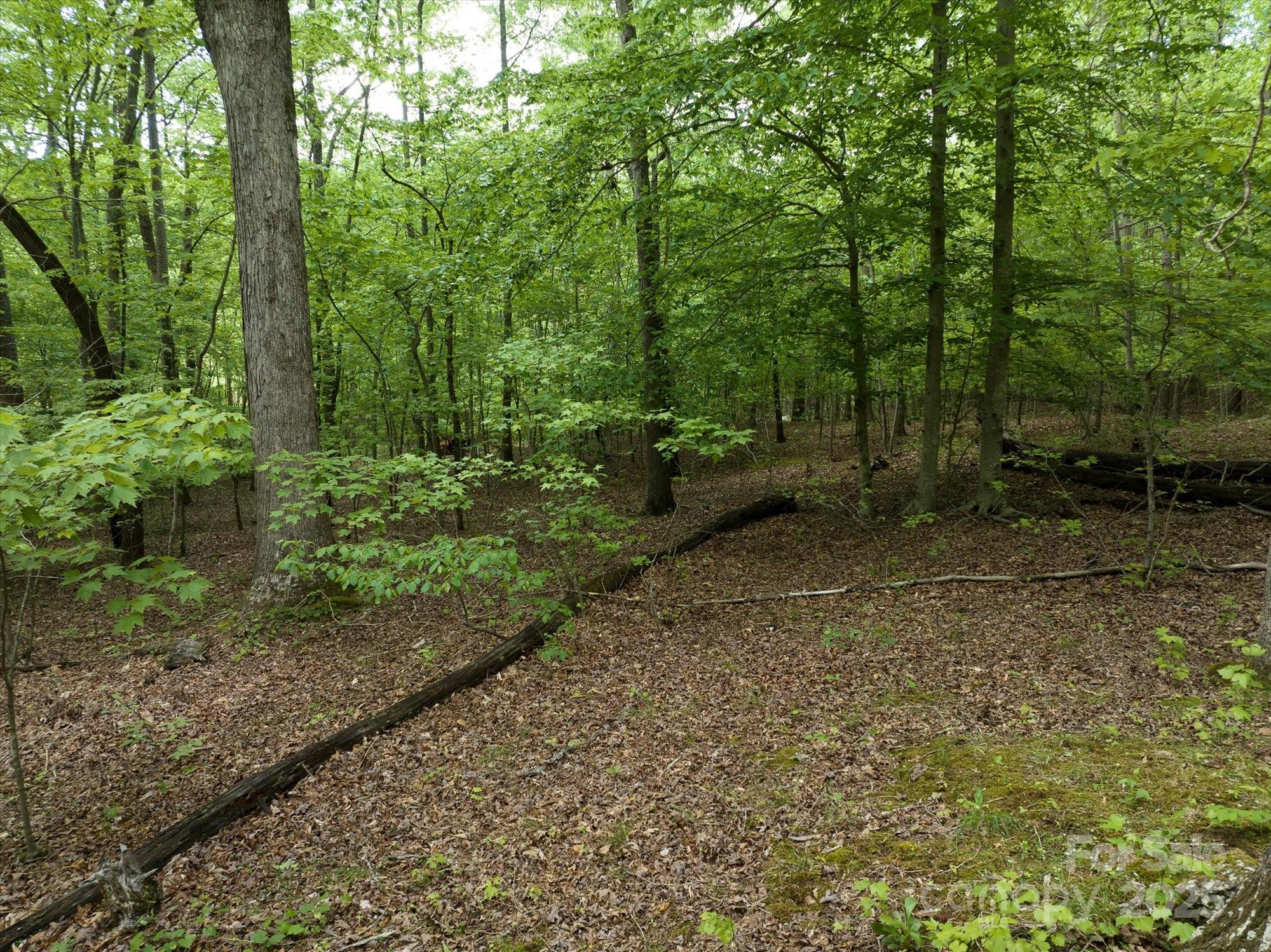 899 W Mills Street Columbus NC 28722