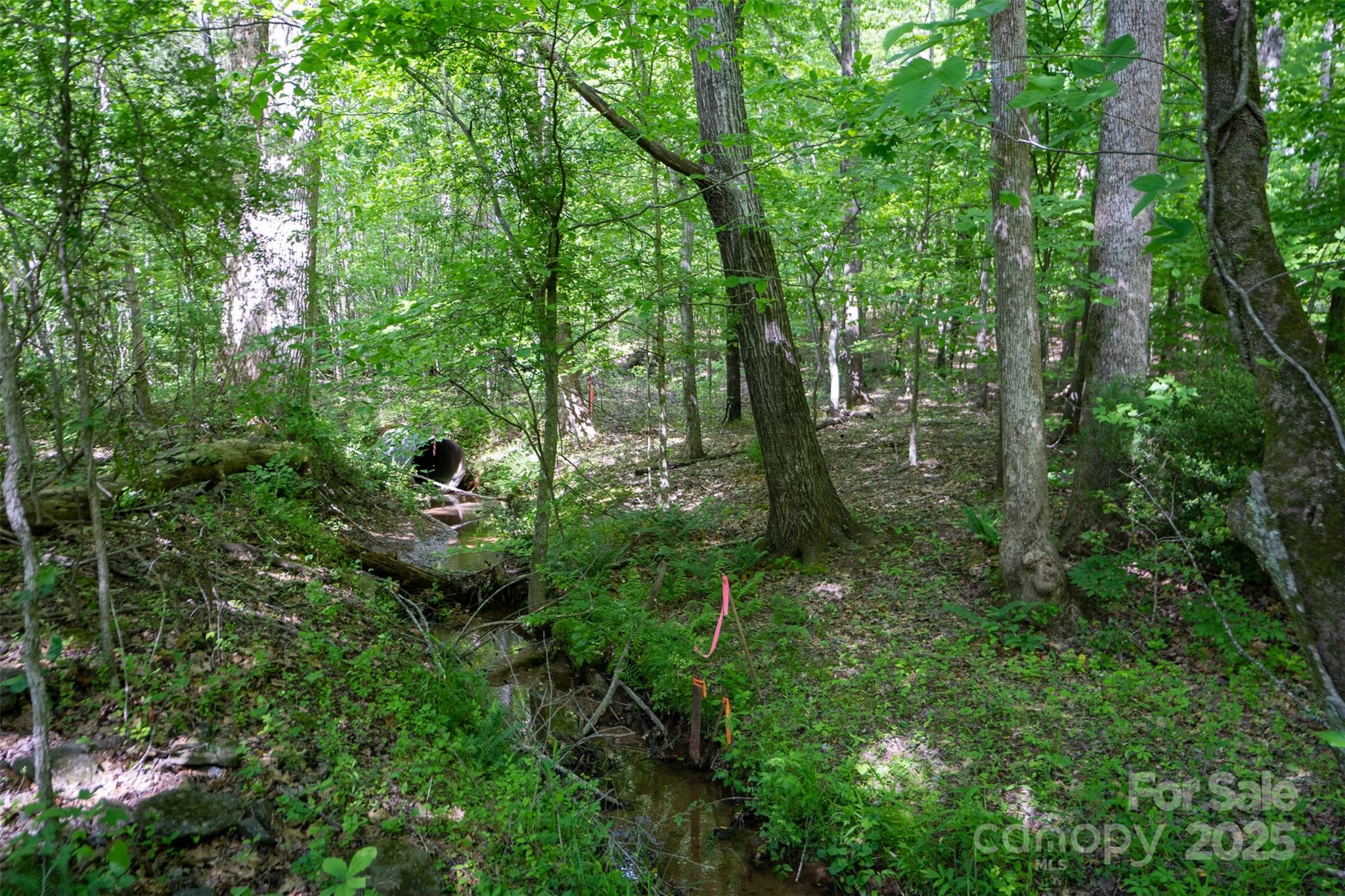 899 W Mills Street Columbus NC 28722