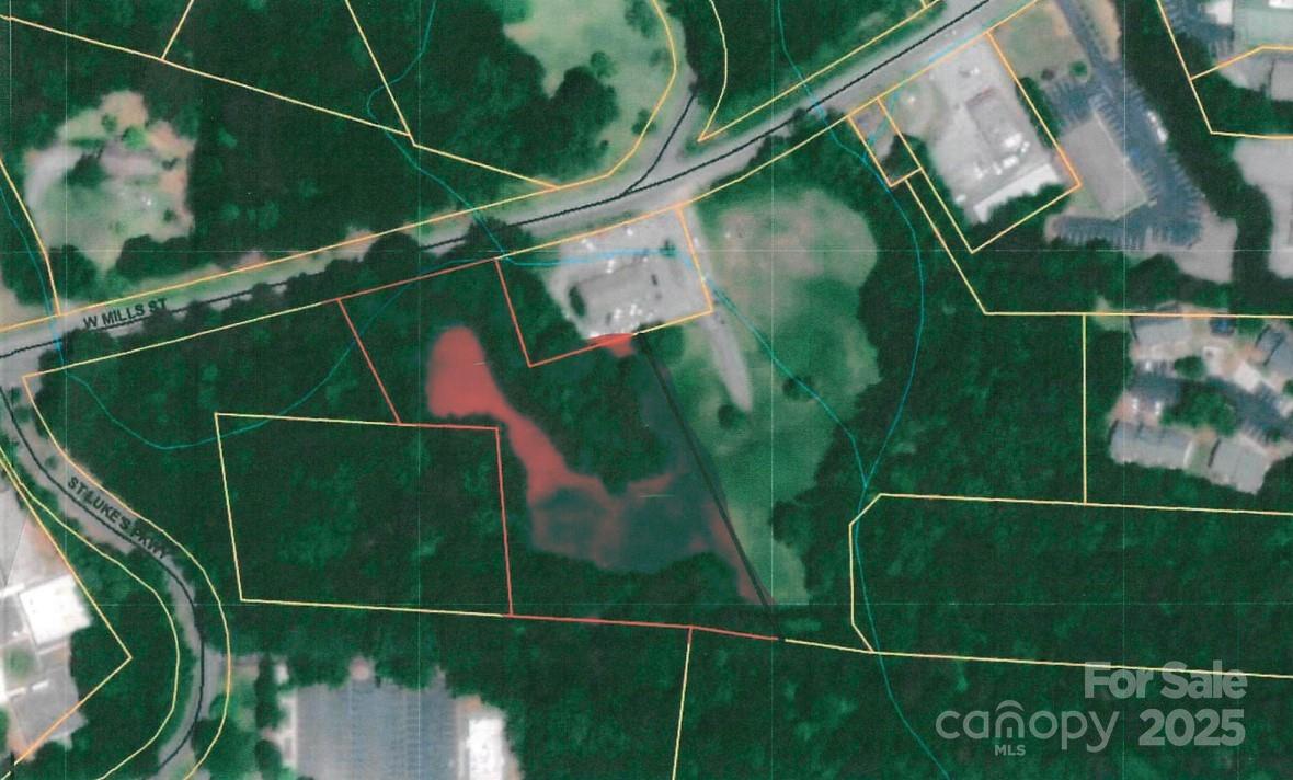 899 W Mills Street Columbus NC 28722