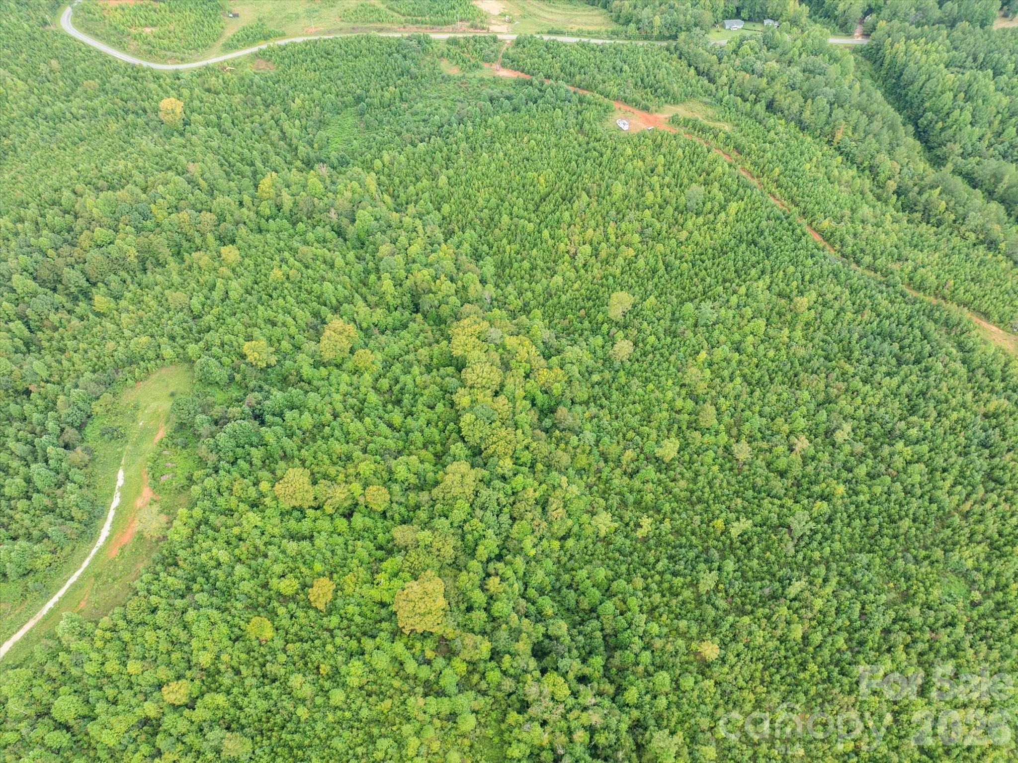 Tbd Pea Ridge Road Mill Spring NC 28756