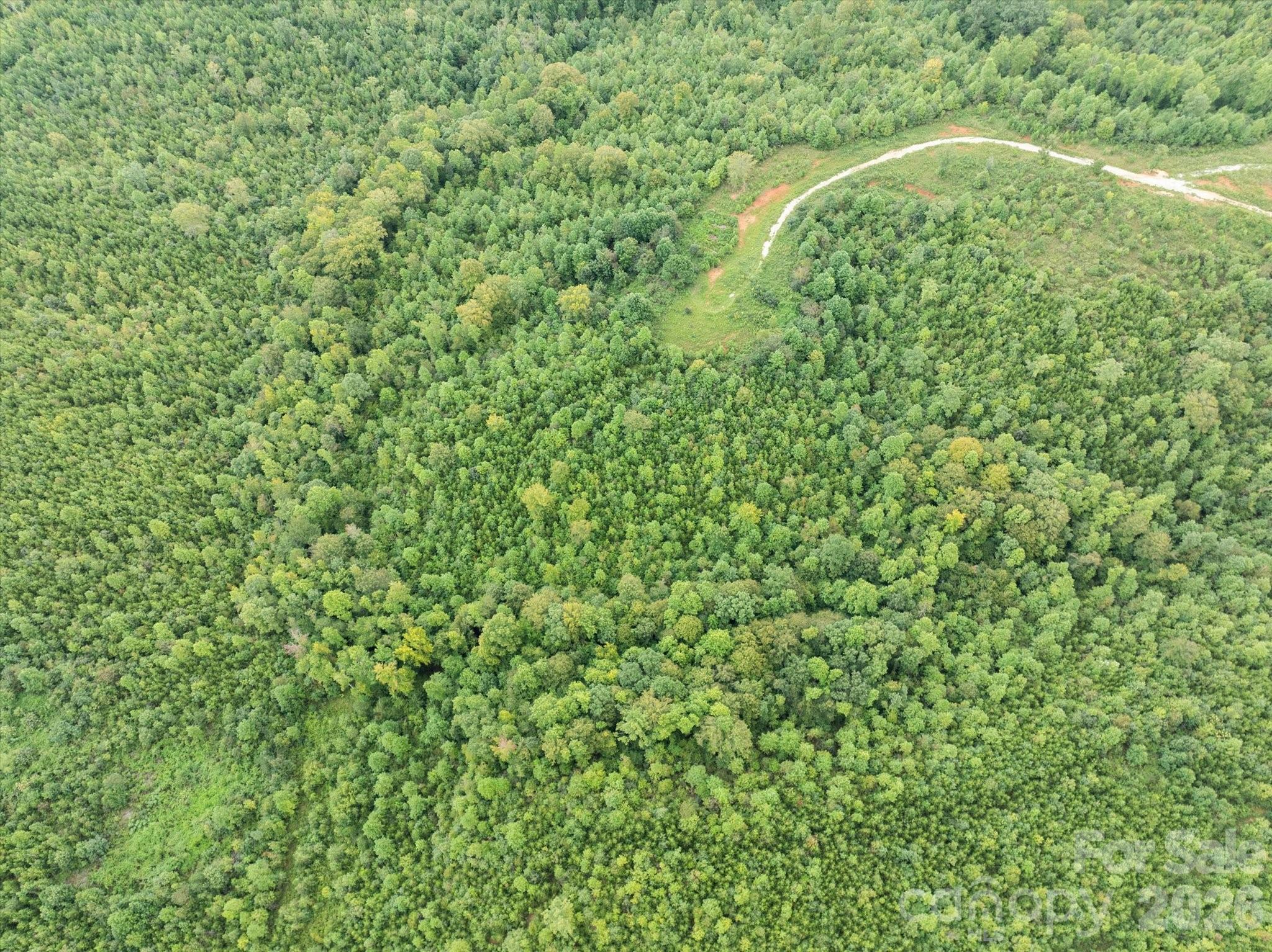 Tbd Pea Ridge Road Mill Spring NC 28756