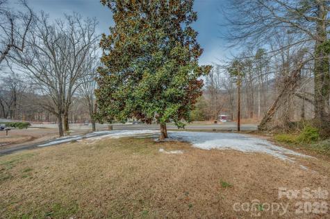 1685 Lynn Road Columbus NC 28722