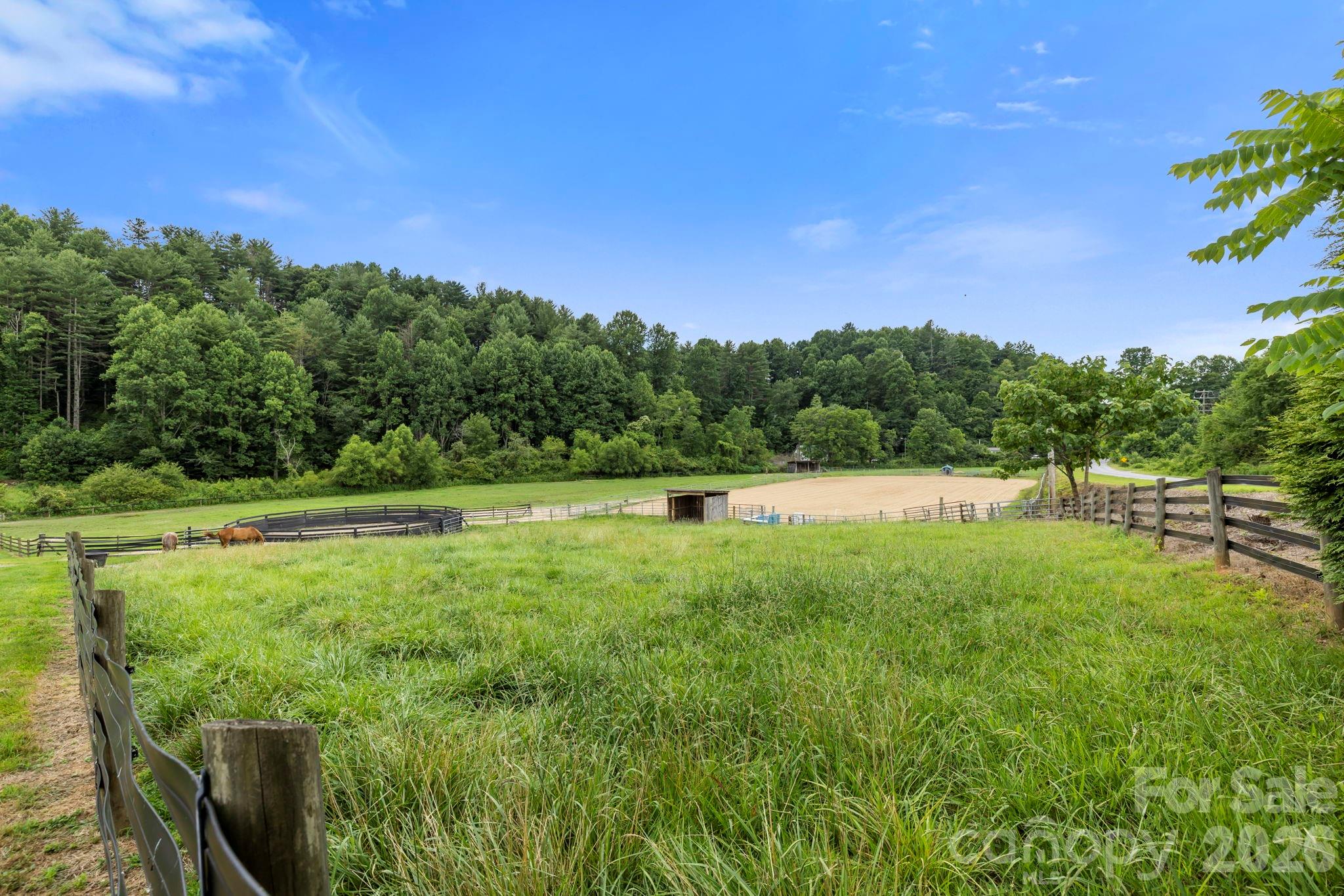 442 Blantyre Church Road Horse Shoe NC 28742