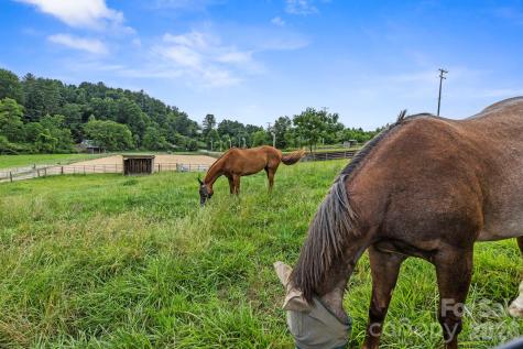 442 Blantyre Church Road Horse Shoe NC 28742