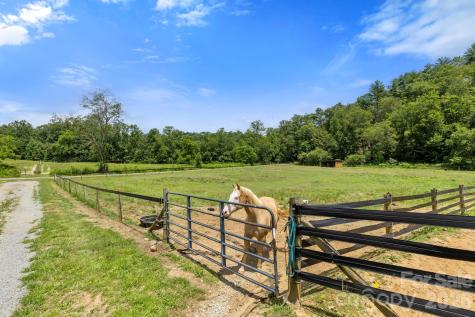 442 Blantyre Church Road Horse Shoe NC 28742