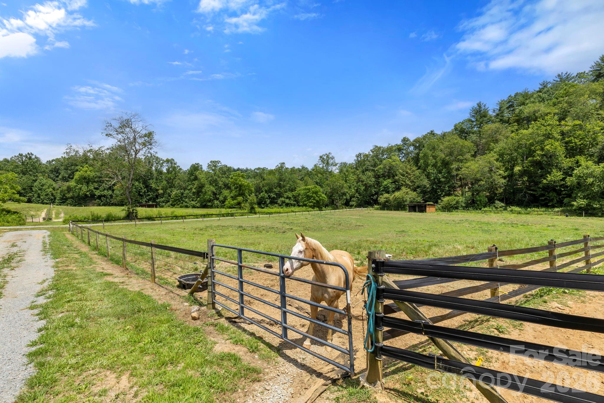 442 Blantyre Church Road Horse Shoe NC 28742
