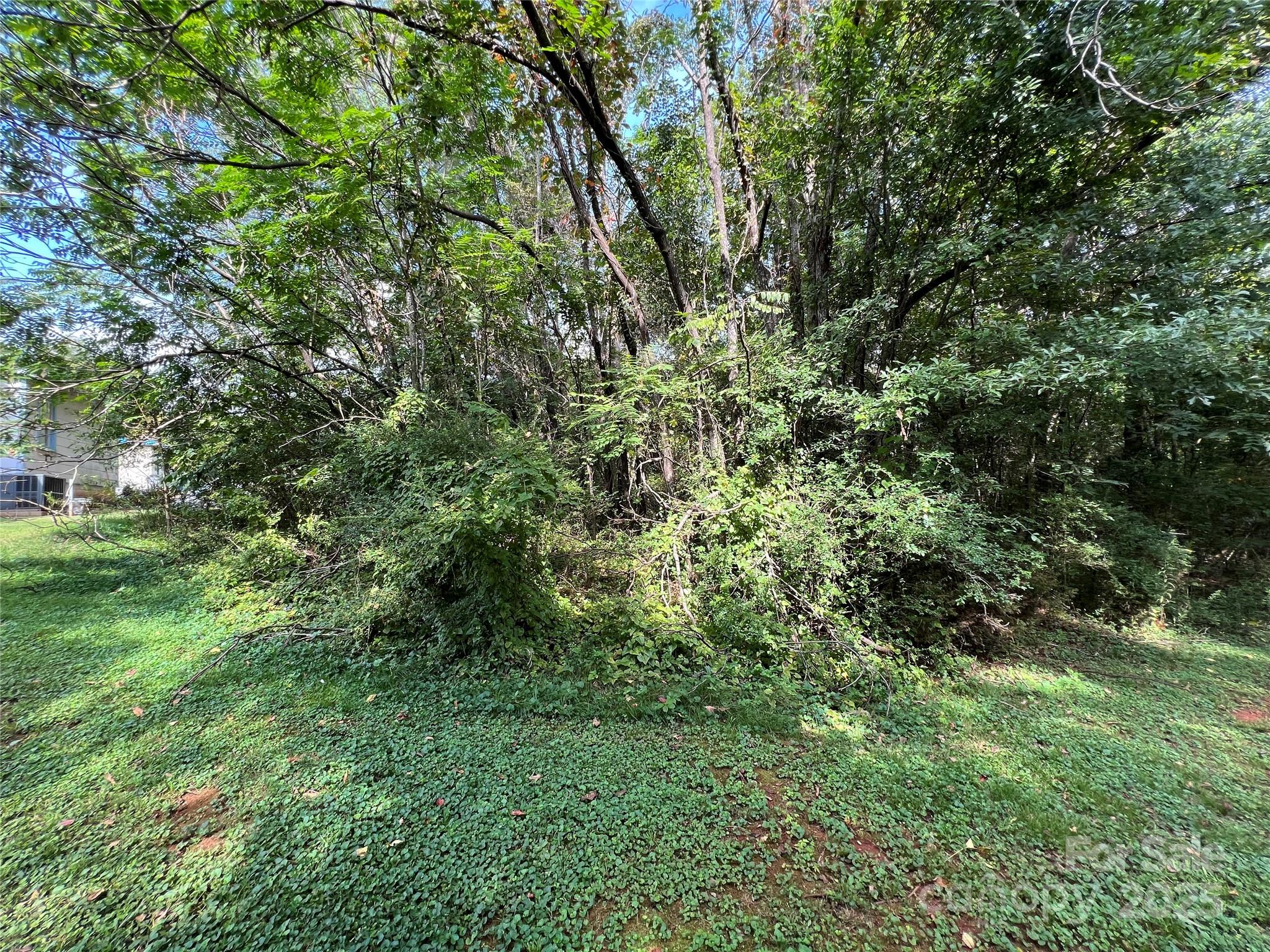 144 Street Helena Drive Rutherfordton NC 28139