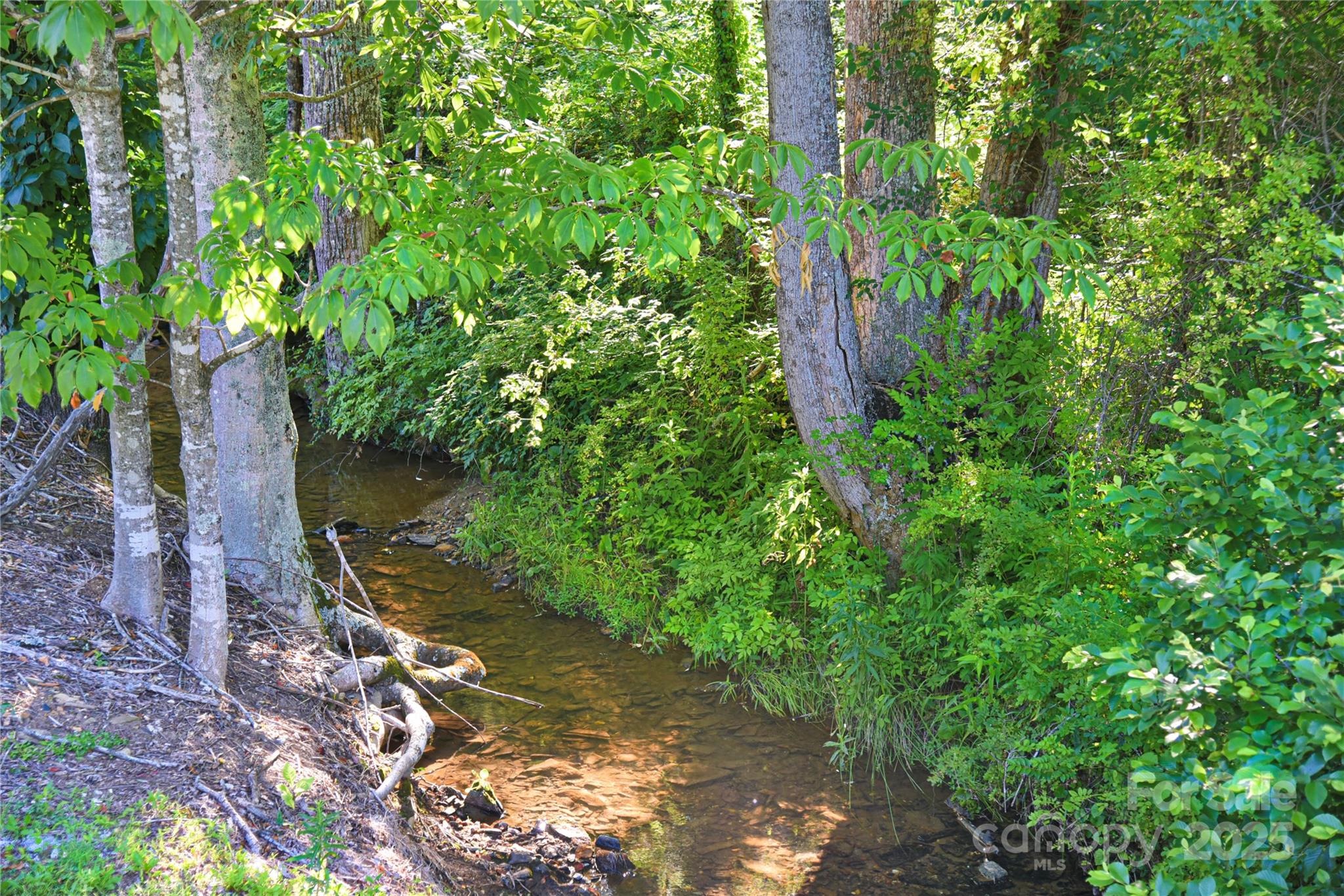 14622 226 Highway Spruce Pine NC 28777