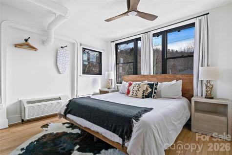 42 Furman Avenue Asheville NC 28801