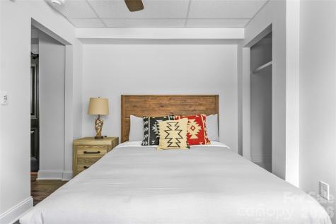 42 Furman Avenue Asheville NC 28801