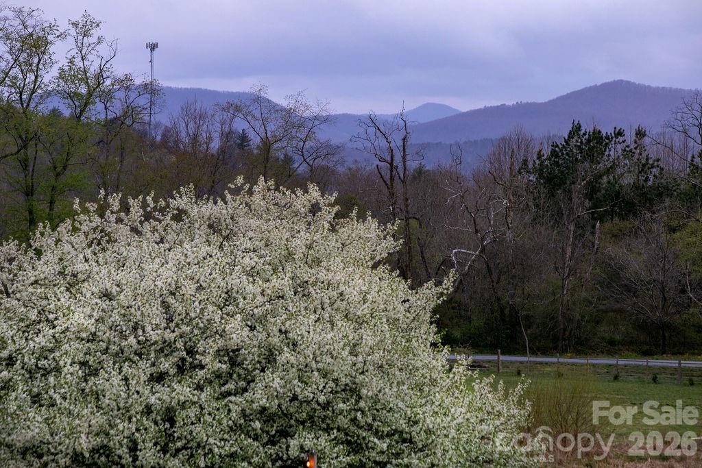 151 Everett Road Pisgah Forest NC 28768