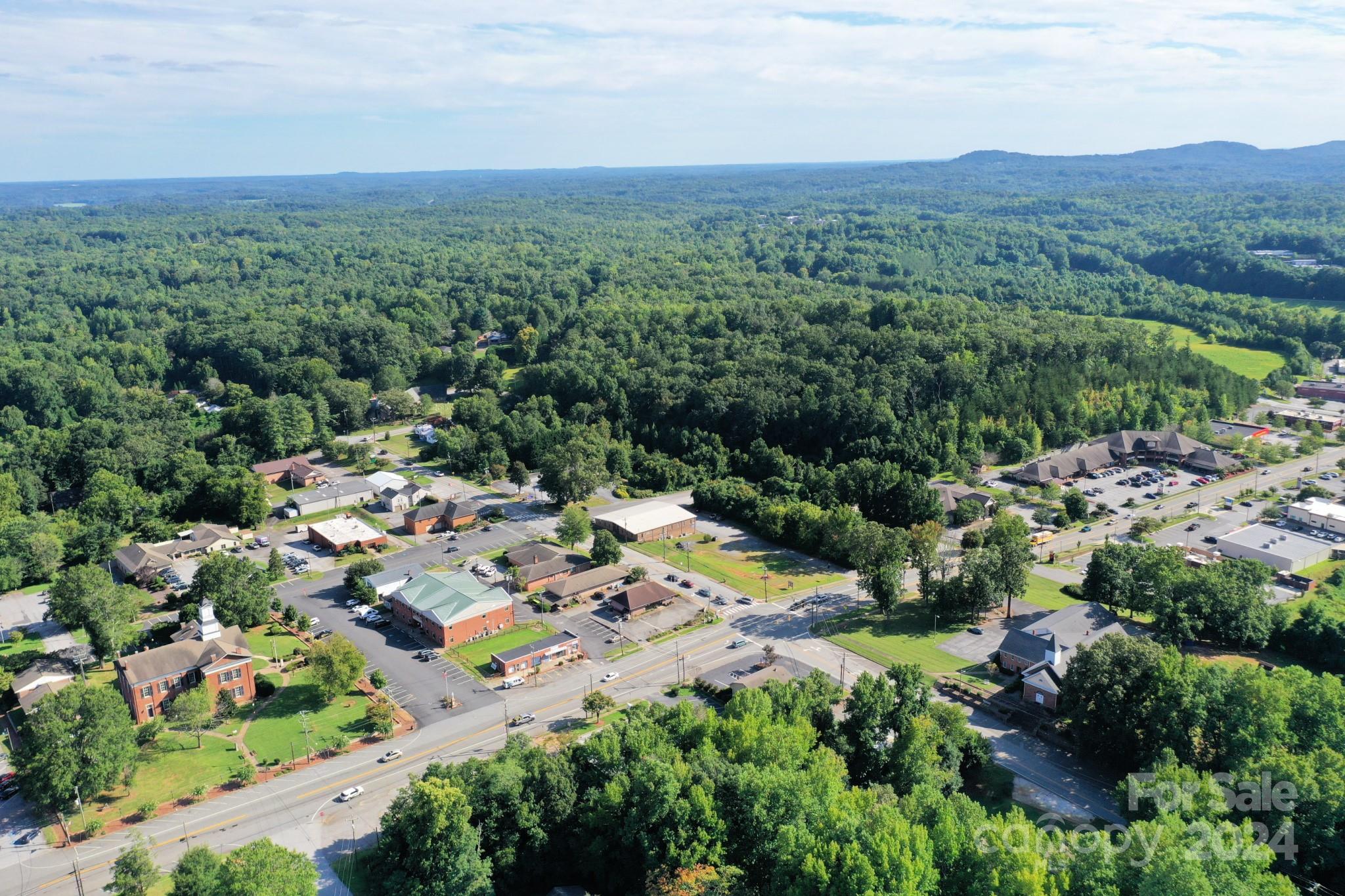 60 Walker Street Columbus NC 28722