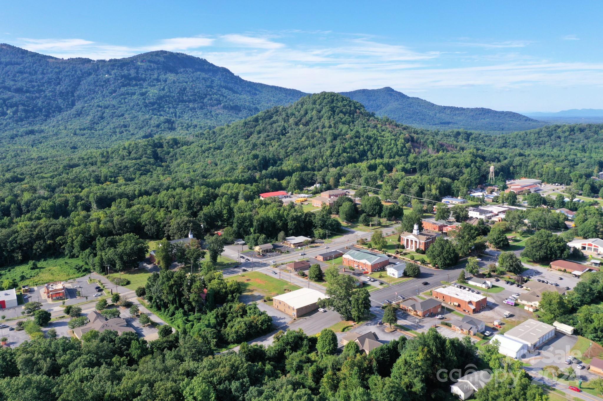 60 Walker Street Columbus NC 28722