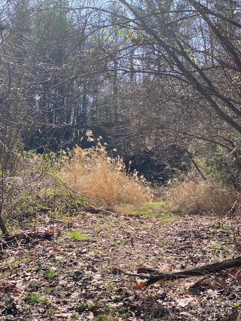 105 Mills Gap Road Asheville NC 28803
