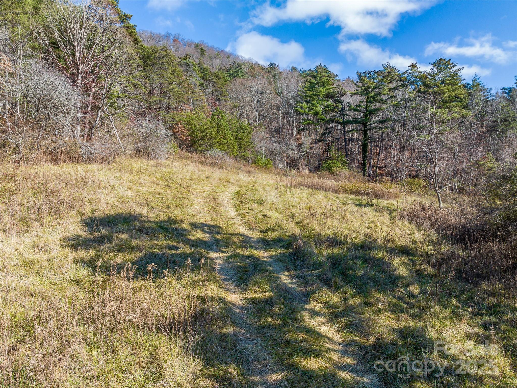 300 Baird Cove Road Asheville NC 28804