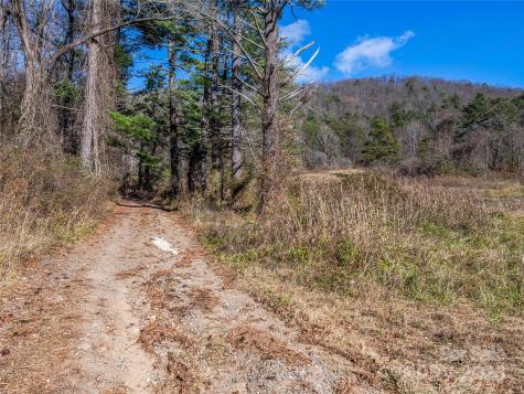 300 Baird Cove Road Asheville NC 28804