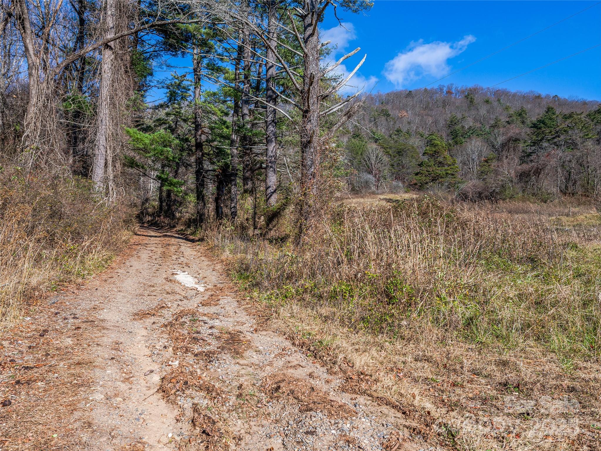 300 Baird Cove Road Asheville NC 28804