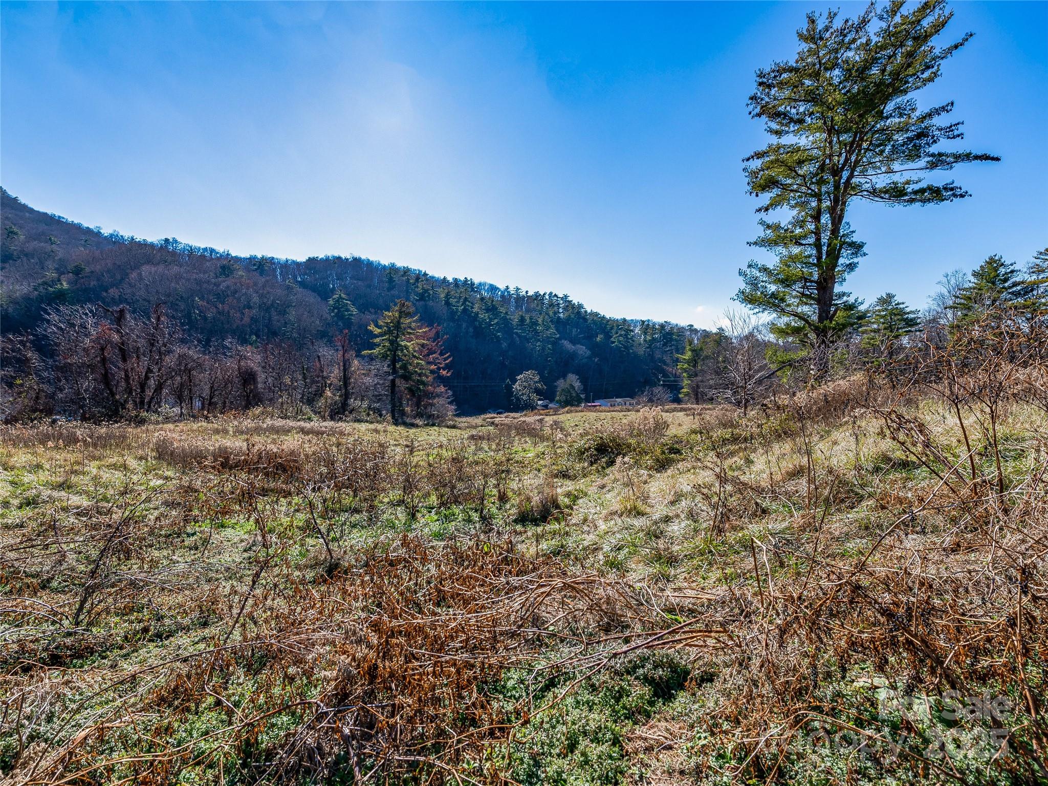 300 Baird Cove Road Asheville NC 28804