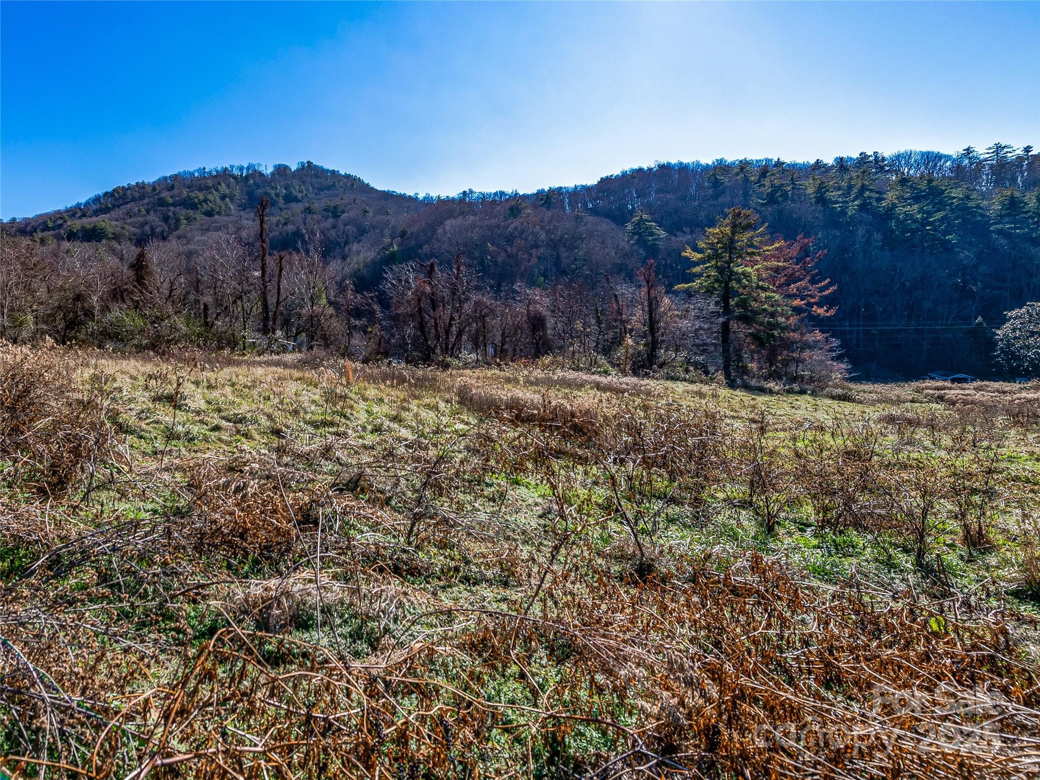 300 Baird Cove Road Asheville NC 28804