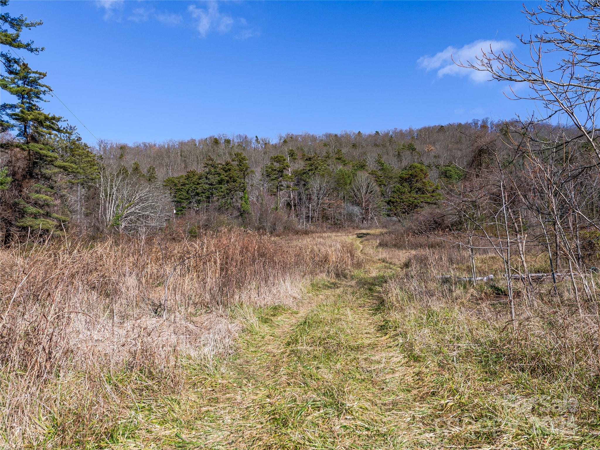 300 Baird Cove Road Asheville NC 28804