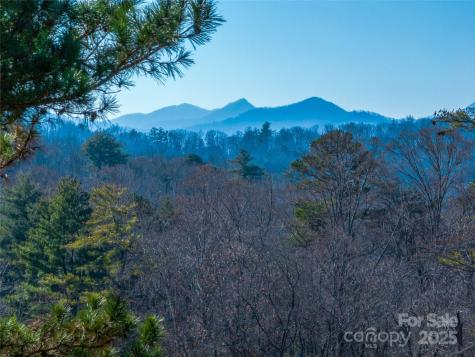 300 Baird Cove Road Asheville NC 28804