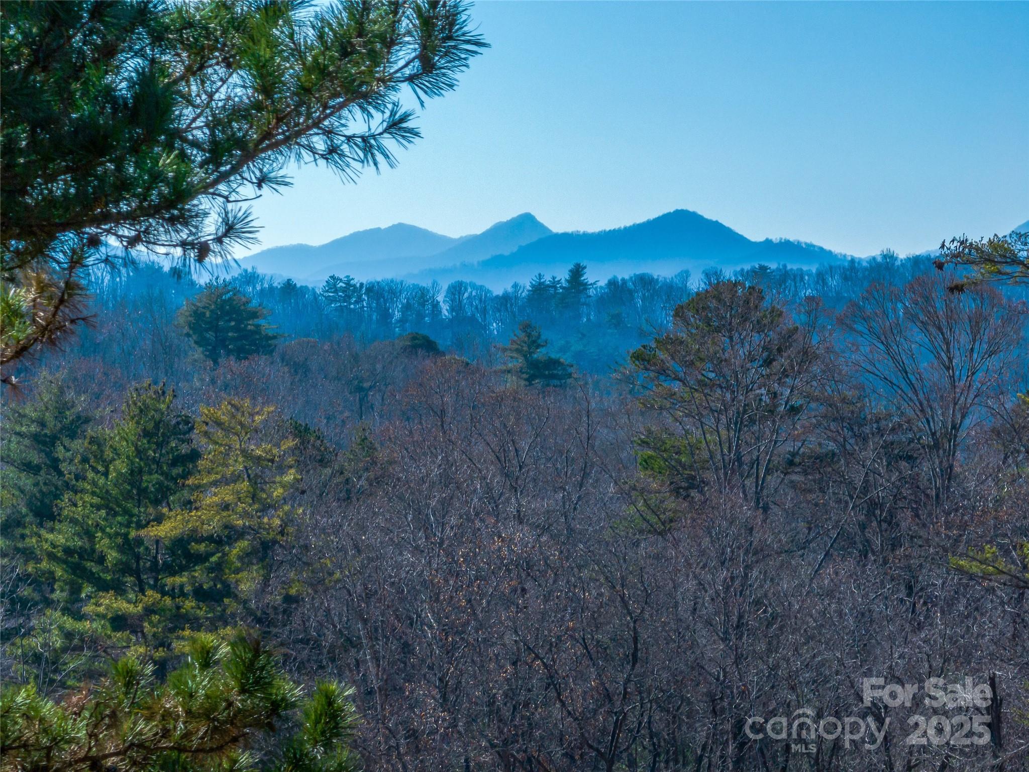 300 Baird Cove Road Asheville NC 28804