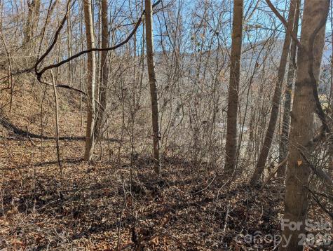 00 Great Smoky Mountain Expy Highway Waynesville NC 28786
