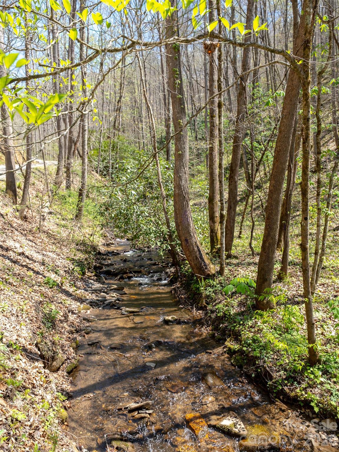 95 Upstream Campus Trail Sylva NC 28779